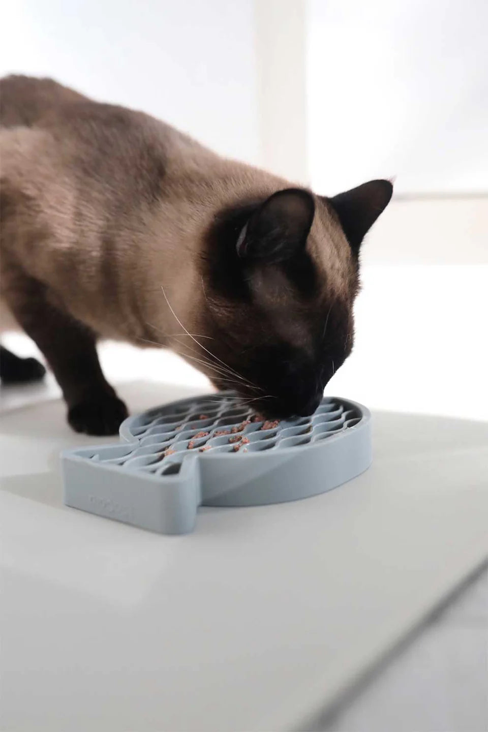 MiaCara Pesce Activity Toy