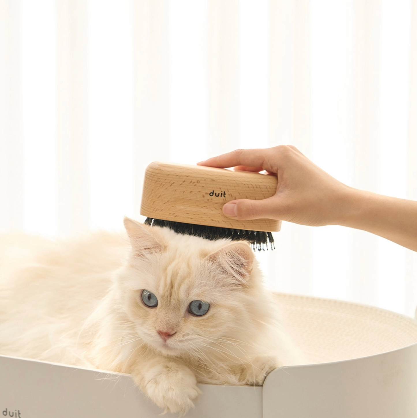 Duit banana brush