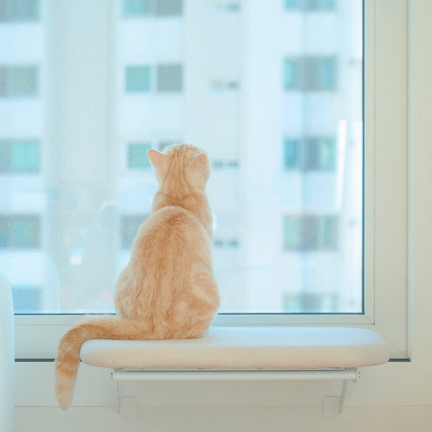 Duit Windows Hammock Set