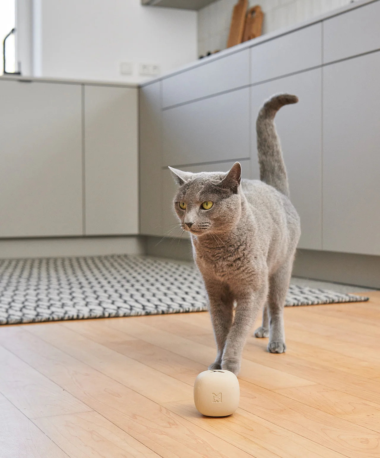 MiaCara Rotolo Activity Toy